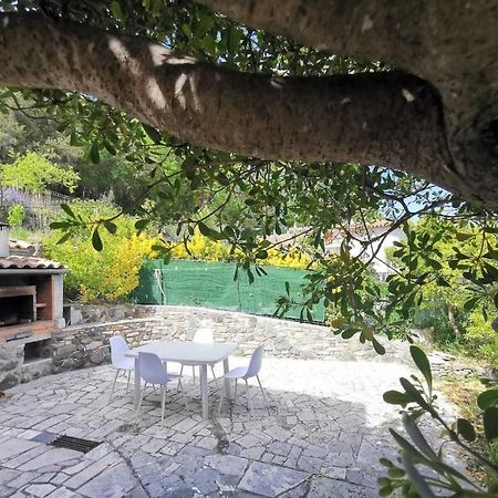 Bas De Villa Au Calme Villeneuve-Loubet Exterior foto