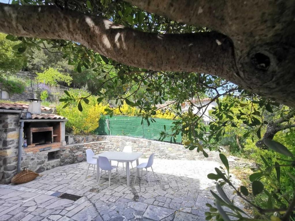 Bas De Villa Au Calme Villeneuve-Loubet Exterior foto